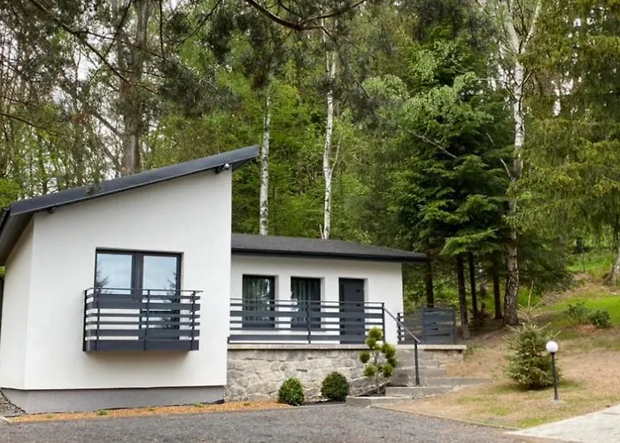 Platanowe Wzgorze アパート Wojcieszyce